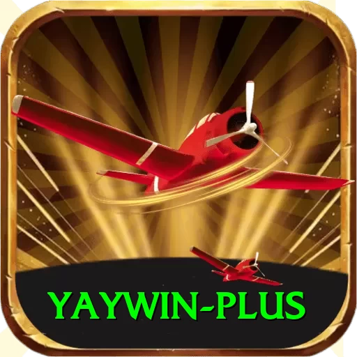 yaywin Deluxe Pro v4.7.3 - 2
